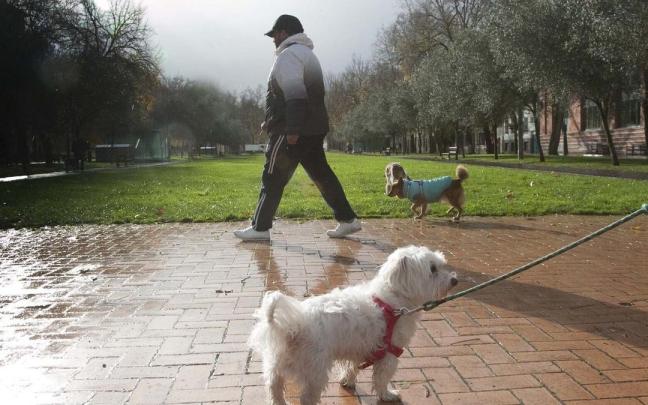 Informazio horretatik kanpoko irudia.