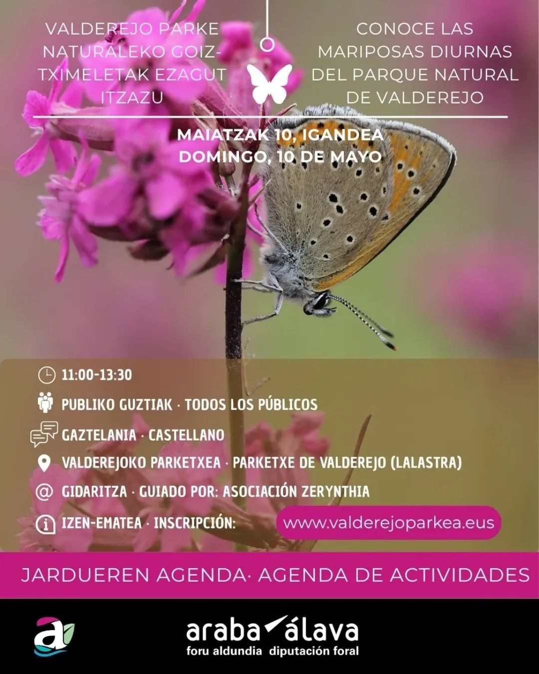 Cartel de la propuesta para identificar mariposas en Valderejo