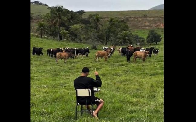 El granjero, pasando lista a las vacas.