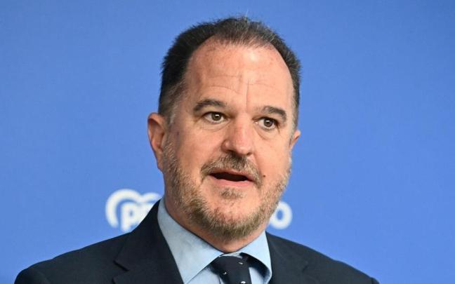 El expresidente del PP de la CAV, Carlos Iturgaiz / Oskar Gonzalez El expresidente del PP de la CAV, Carlos Iturgaiz