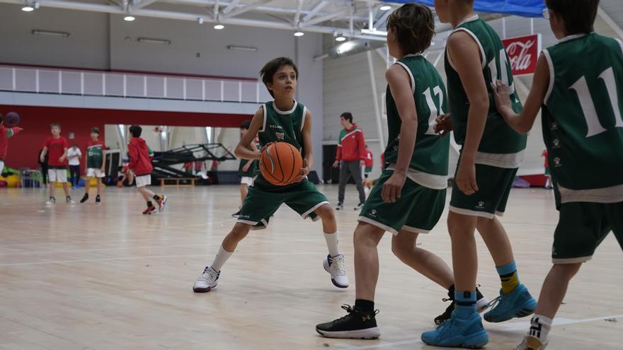 Jugadores de la Fundación Baskonia durante un partido escolar, ajenos a la información