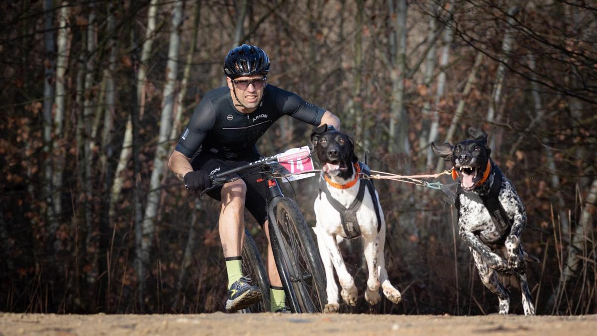 Jon González compitiendo junto a sus perros.
