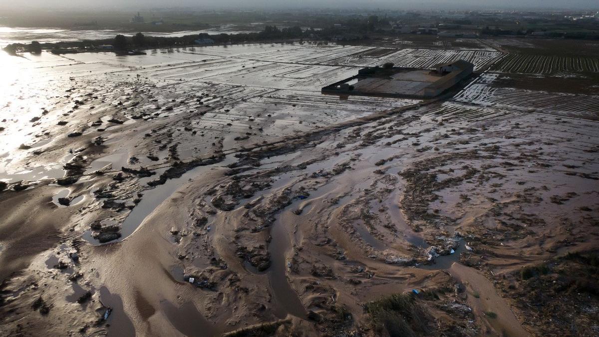 Estado del parque natural de la Albufera en el que ha sido encontrada la víctima.