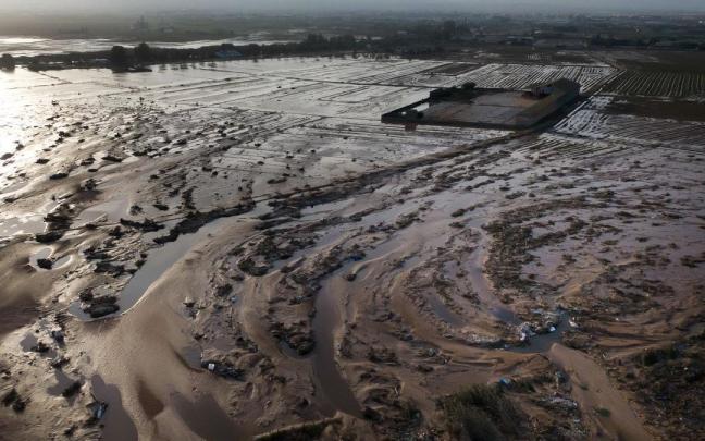 Estado del parque natural de la Albufera en el que ha sido encontrada la víctima.