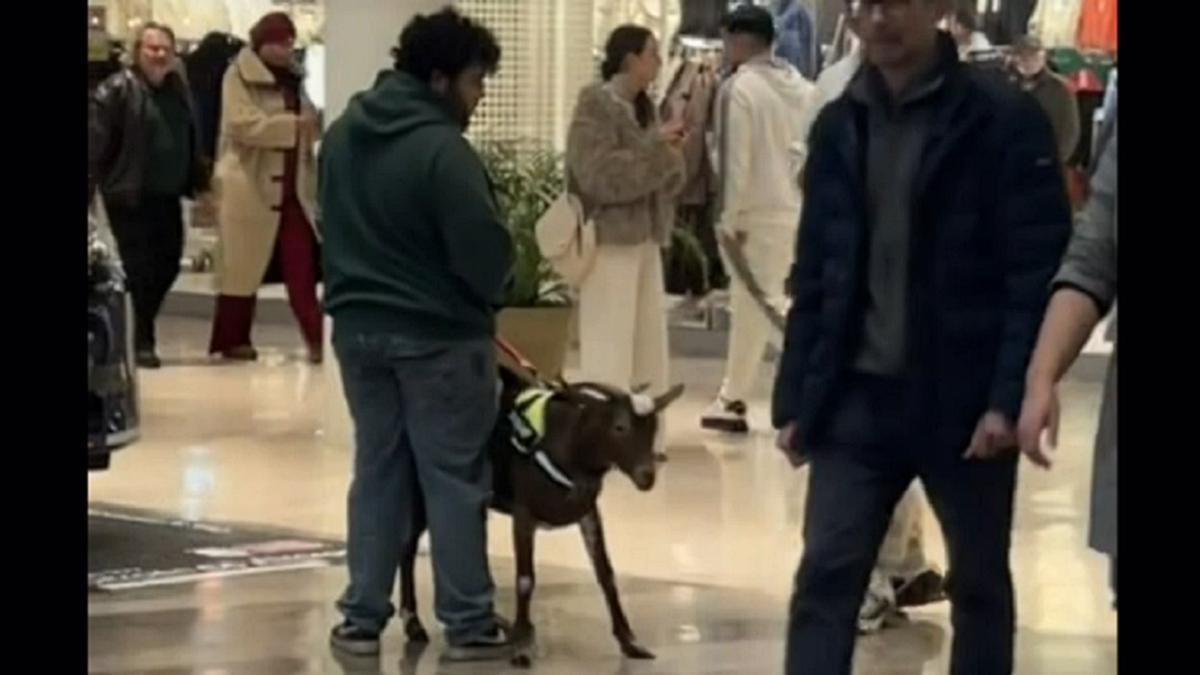 El hombre y la cabra, en el centro comercial sevillano.
