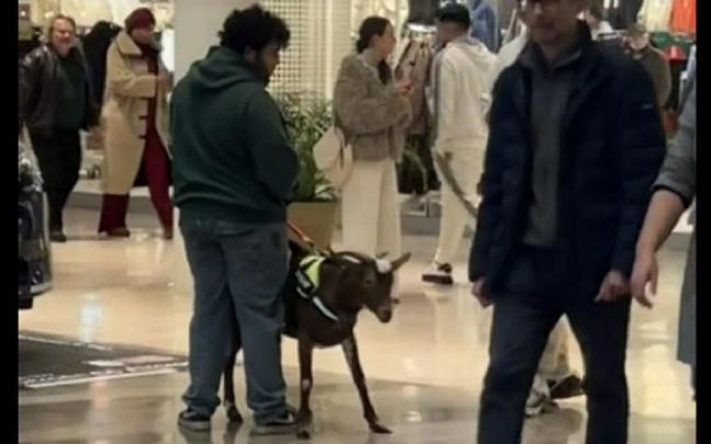 El hombre y la cabra, en el centro comercial sevillano.