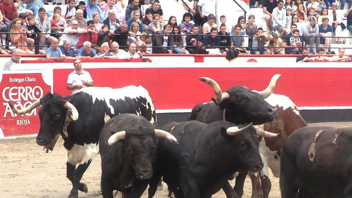 Los aficionados no van a poder ver el desencajonamiento de las reses este año.