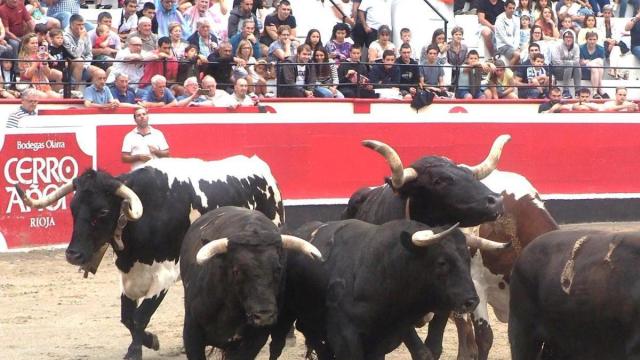 Los aficionados no van a poder ver el desencajonamiento de las reses este año.