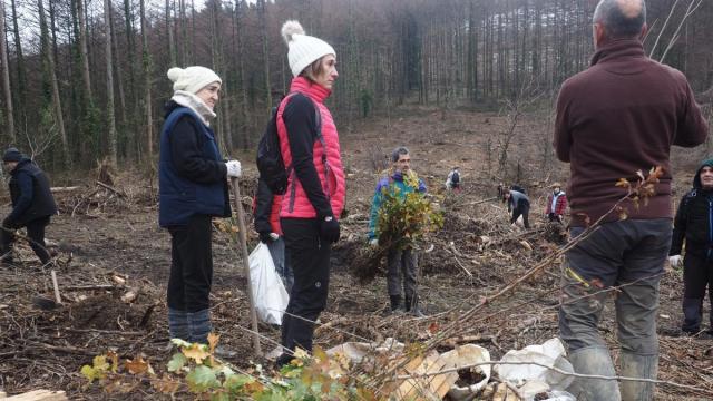 La campañas de plantación con la participacion de los vecinos se están sucediendo en los últimos años en Debabarrena.