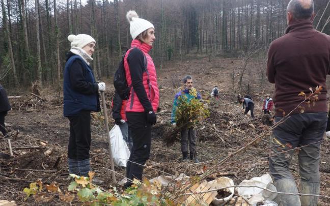 La campañas de plantación con la participacion de los vecinos se están sucediendo en los últimos años en Debabarrena.