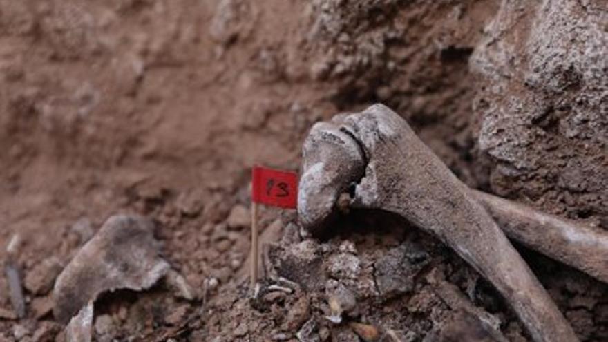 Varios huesos encontrados durante la excavación de una fosa de la guerra civil