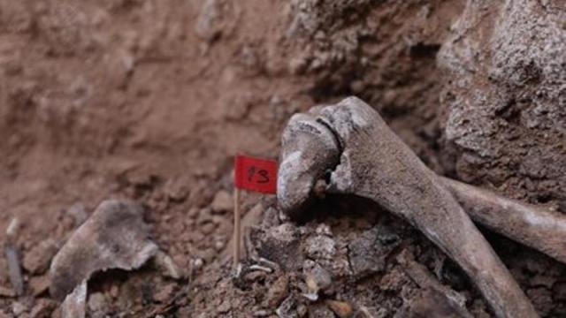 Varios huesos encontrados durante la excavación de una fosa de la guerra civil