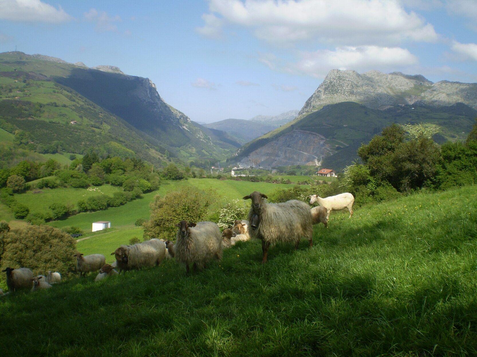 Vistas de Karrantza.
