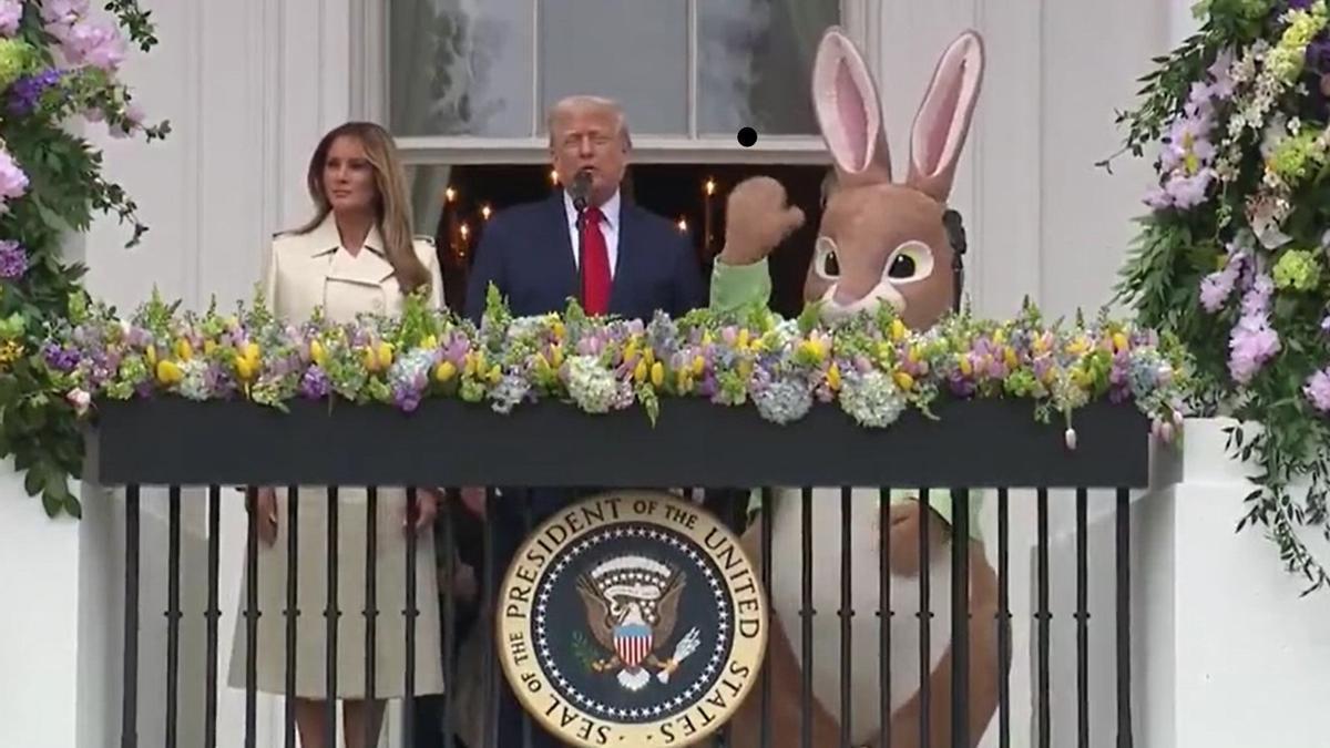 Desde el regreso de Donald Trump a la Casa Blanca, la residencia presidencial ha sido escenario de todo tipo de excentricidades