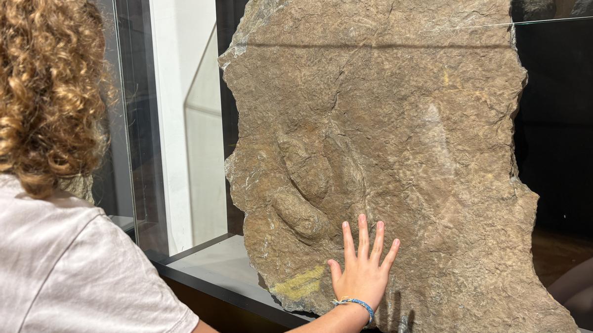 Relieve de una huella en el Museo Cretácico de El Barranco Perdido.