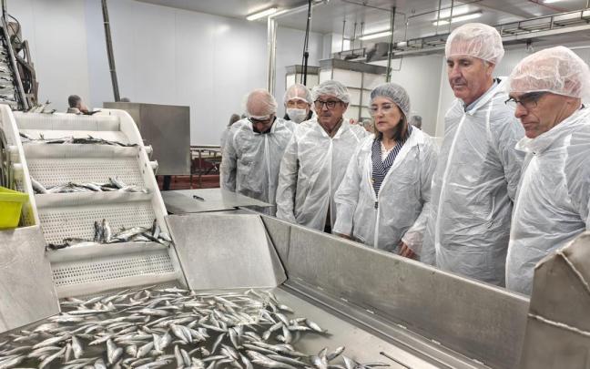 El producto llega del puerto donde se limpia y clasifica.