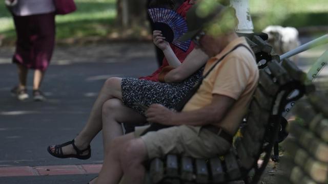 Varias personas se resguardan en la sombra en un parque.