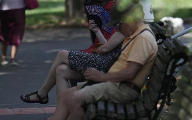 Varias personas se resguardan en la sombra en un parque.
