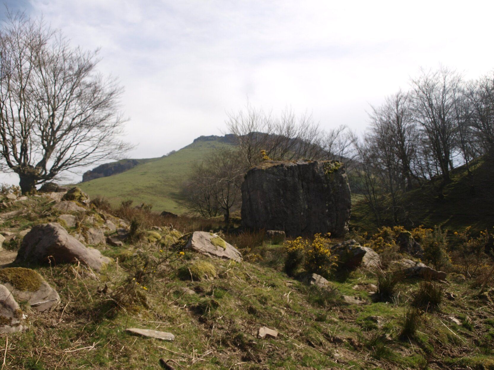 El monte Adarra al fondo.