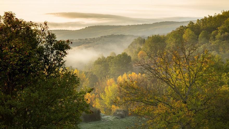 Parque Natural de Montesinho.