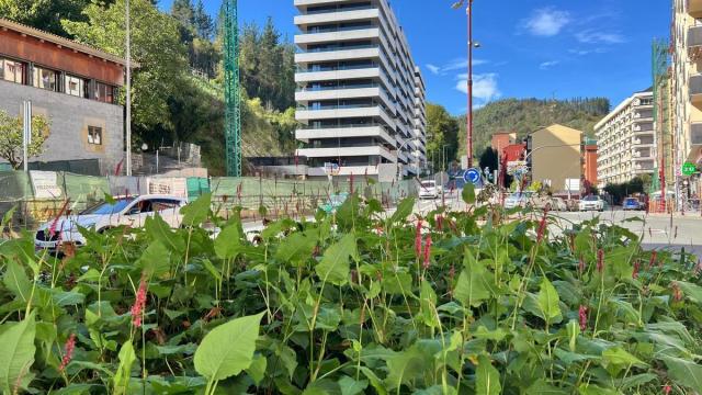Concurso de vídeos cortos