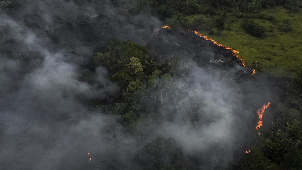 A pesar de merma, los incendios continúan golpeando la Amazonía brasileña