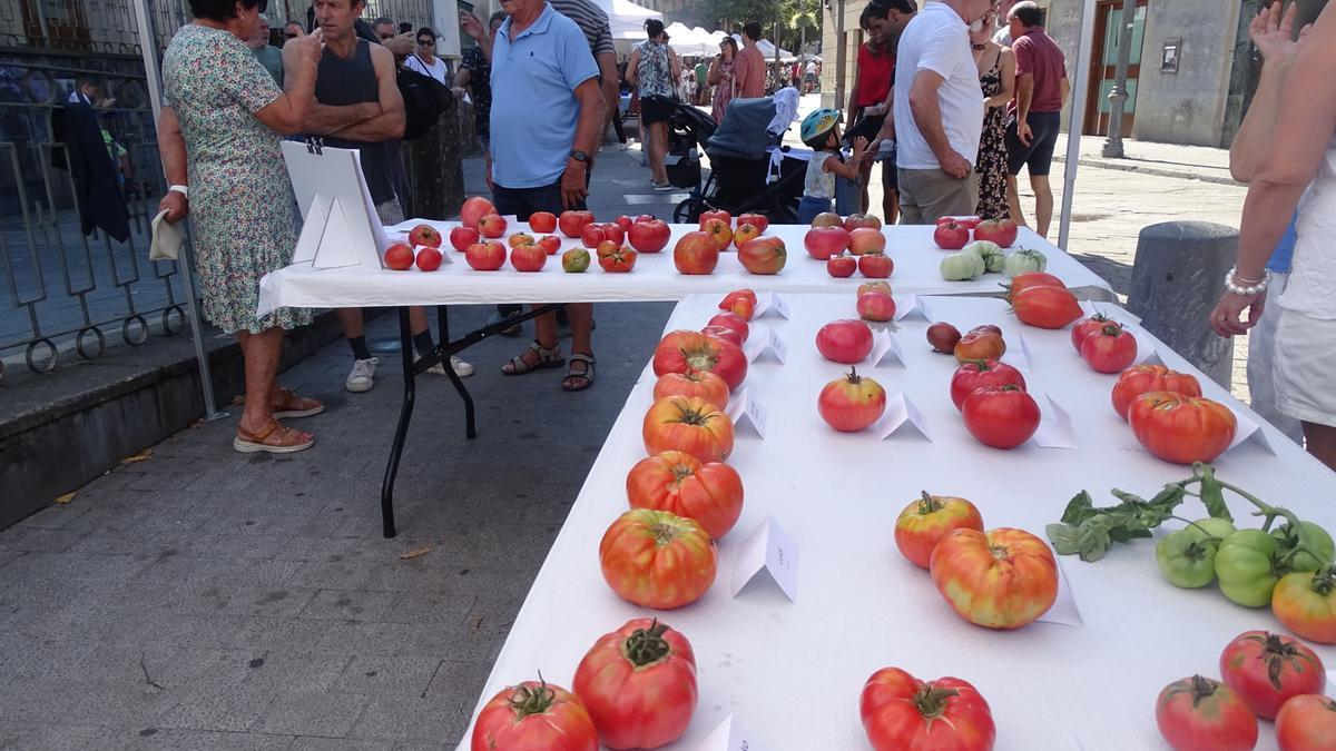 Muestrario de tomates presentados en una pasada edición del concurso.