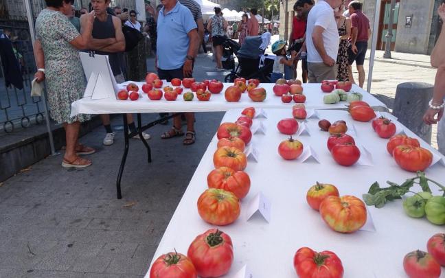 Muestrario de tomates presentados en una pasada edición del concurso.