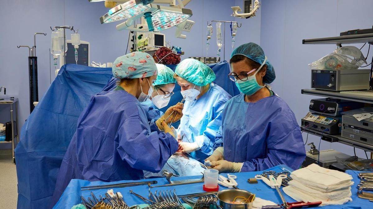 Quirófano de Osakidetza.