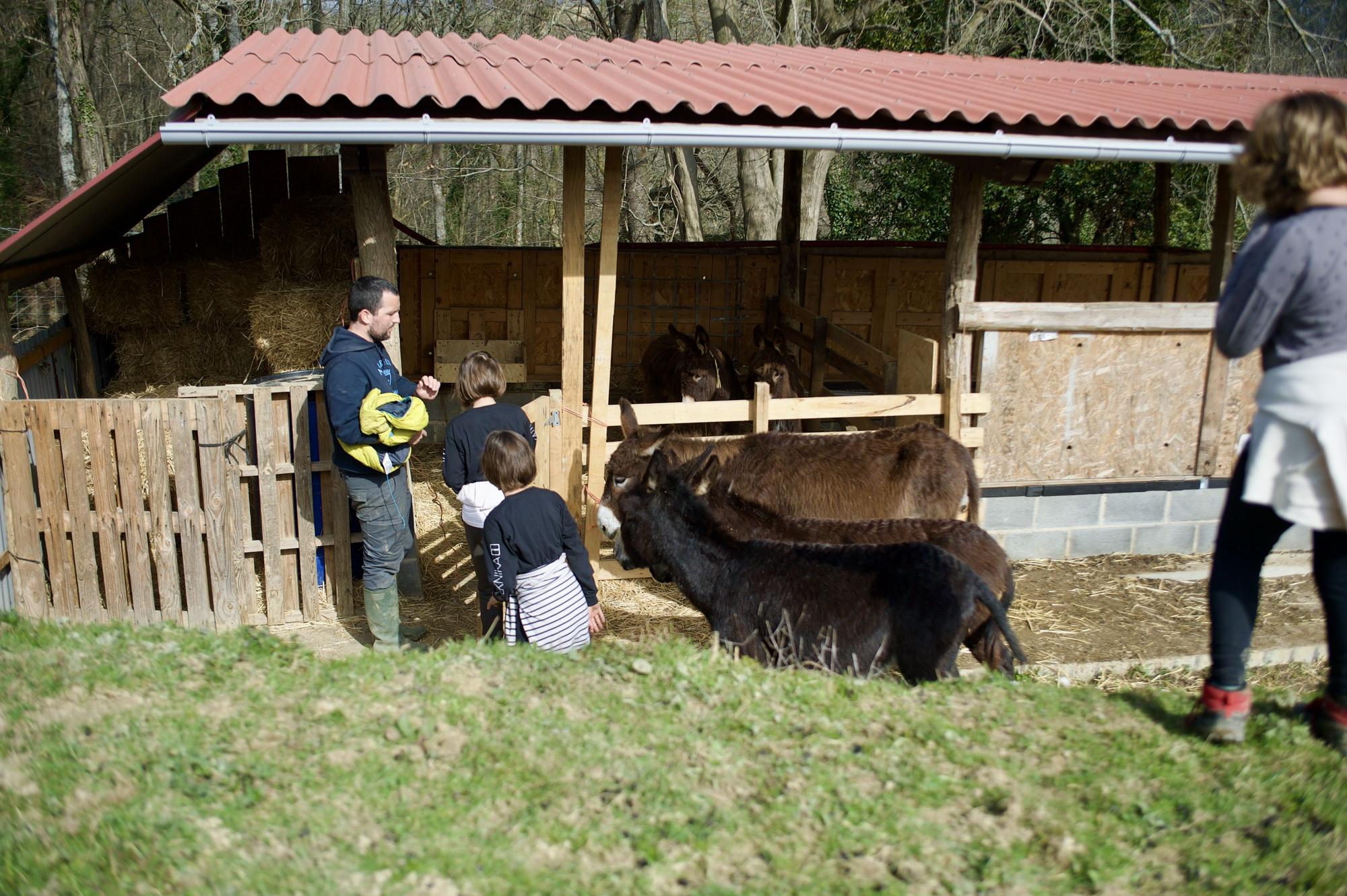 Paorra Baserria cuenta con varios animales autóctonos vascos en sus terrenos.