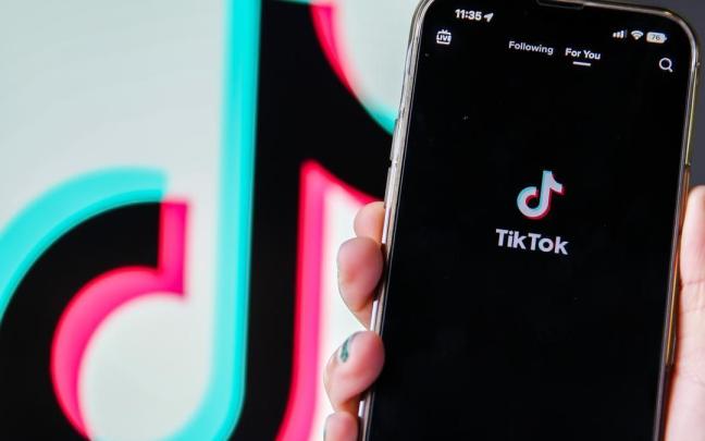 La investigada subió a una red social varios vídeos de los presuntos abusos que había realizado.