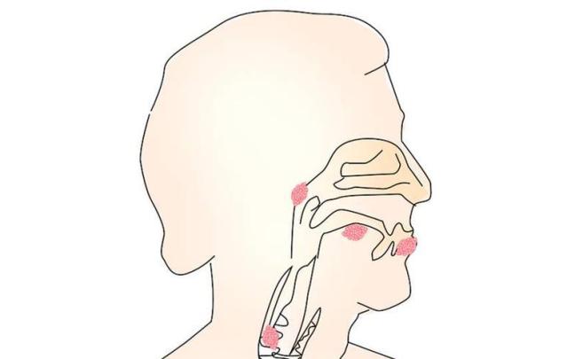 C&aacute;ncer de pulm&oacute;n, el que m&aacute;s ha crecido en Euskadi.