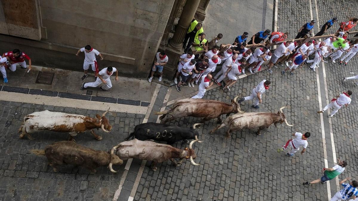 Los astados de Núñez del Cuvillo han realizado una carrera rápida y limpia sin dejar heridos por asta.