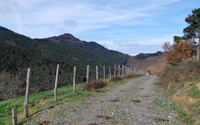 Vuelta al embalse de Loiola desde El Regato a la Ekoetxea