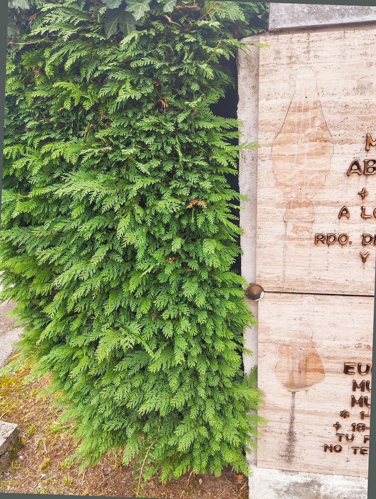 Detalle de dos lápidas dañadas.