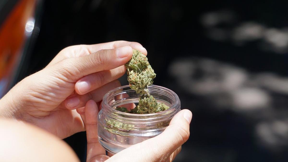 Alemania fija un límite de 25 gramos por persona la posesión legal de cannabis.