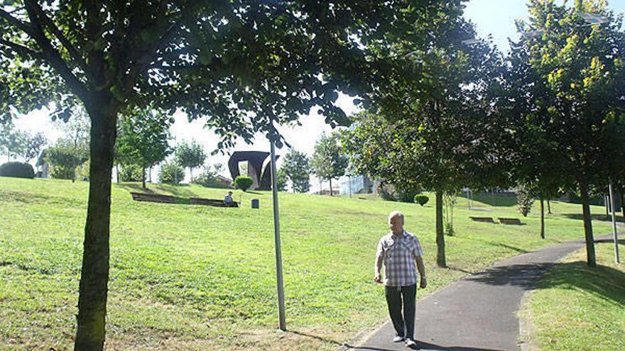 Un hombre pasea por un parque.