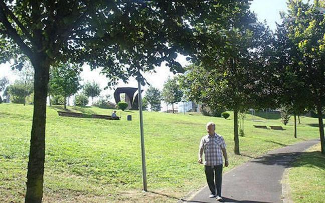 Un hombre pasea por un parque.
