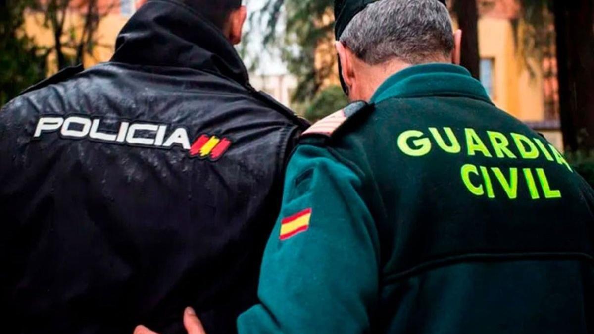 Un agente de la Policía Nacional y uno de la Guardia Civil.