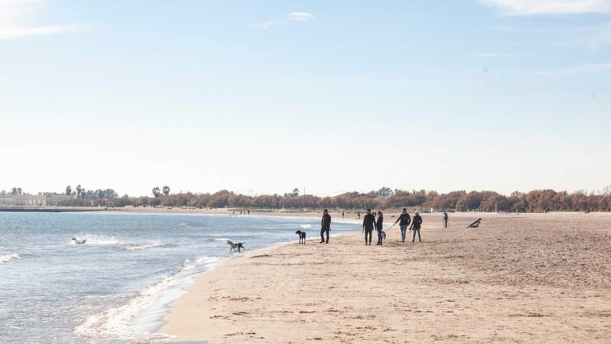La playa de Pinedo admite que los perros también disfrute del mar y sus olas.