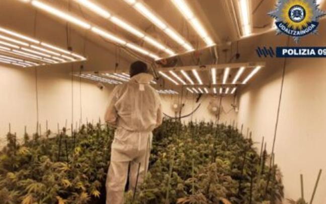 En el pabellón de Avenida del Zadorra se hallaron luminarias, filtros, extractores y diversos utensilios para el cultivo de marihuana