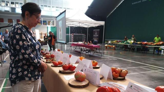 Feria del tomate antiguo del año pasado en Elburgo