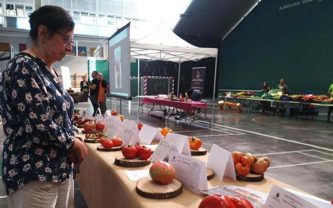 Feria del tomate antiguo del año pasado en Elburgo