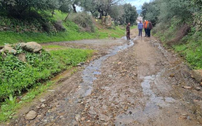 La secretaria de Estado de Agricultura y Alimentación, Begoña García Bernal, visita este fin de semana algunas de las zonas afectadas por el temporal