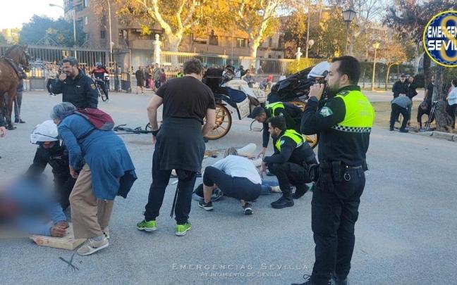 El accidente ha ocurrido en el interior del Parque de María Luisa de Sevilla.
