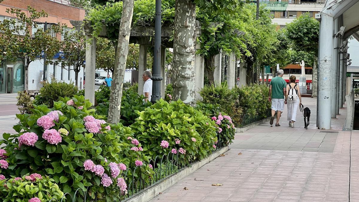 Una zona céntrica de Beasain con árboles, plantas y flores.