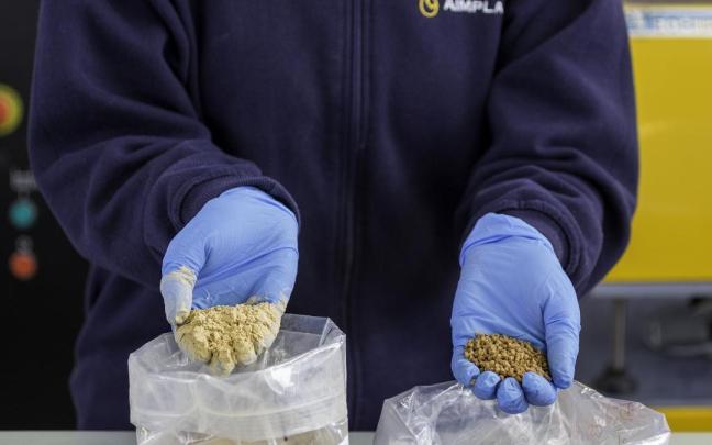 Huesos de oliva en una imagen de archivo