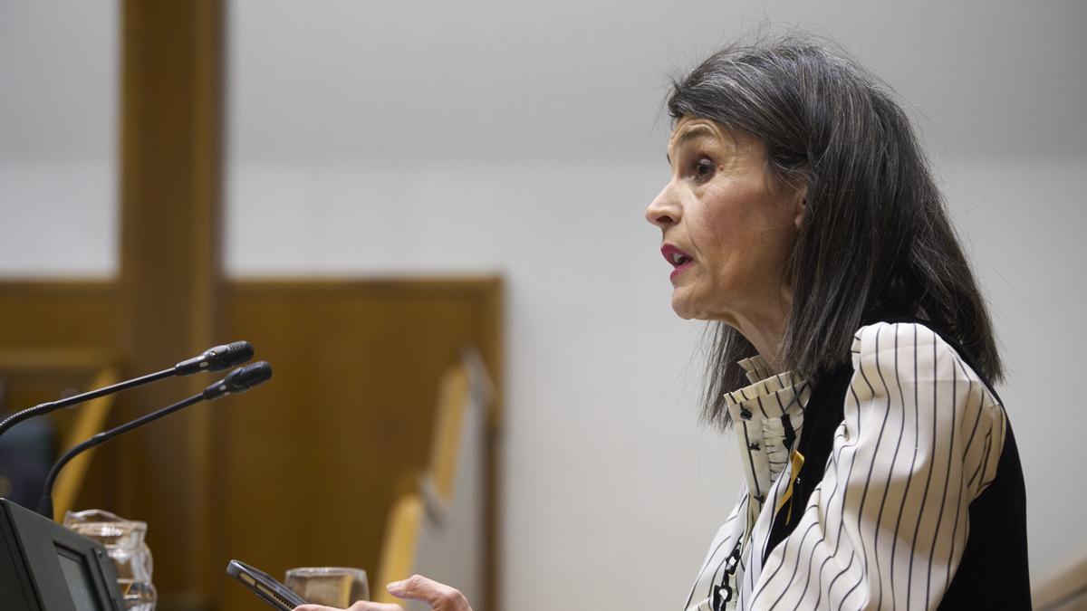 La consejera de Igualdad, Justicia y Políticas Sociales, Nerea Melgosa, ha expresado su satisfacción por la "amplísima mayoría" que ha concitado la ley en el Parlamento Vasco.