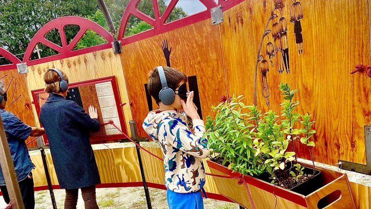 ‘El circo de los sentidos’.