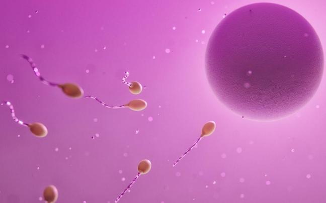 Aunque la Sociedad Española de Fertilidad advierte de sus peligros, ha crecido el número de anuncios de compraventa de esperma.